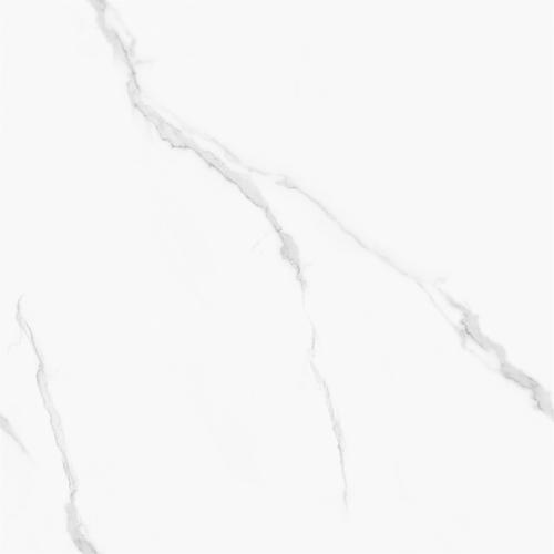 HG8L034