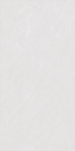 HG48R83-1-y1单5